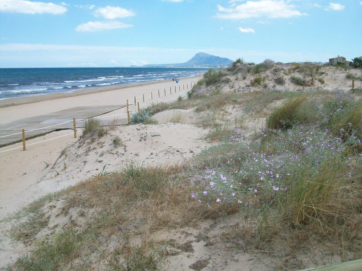 Roderic - Apartamento Junto Al Mar Oliva Exterior photo